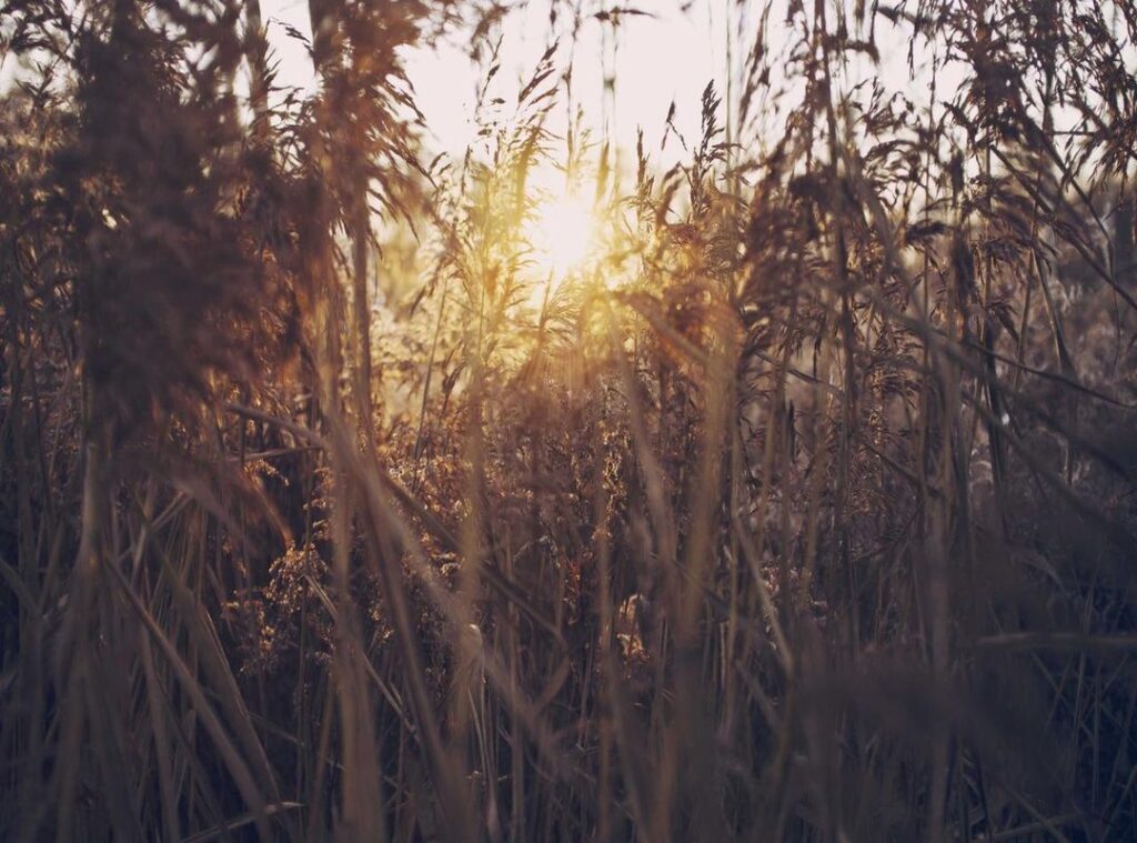 al-hilal - al nassr tijdlijn