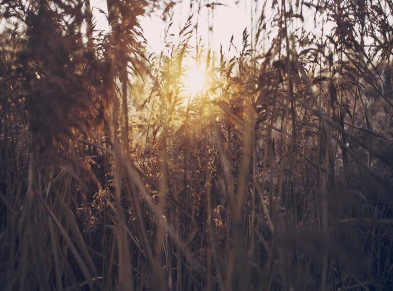 al-hilal - al nassr tijdlijn