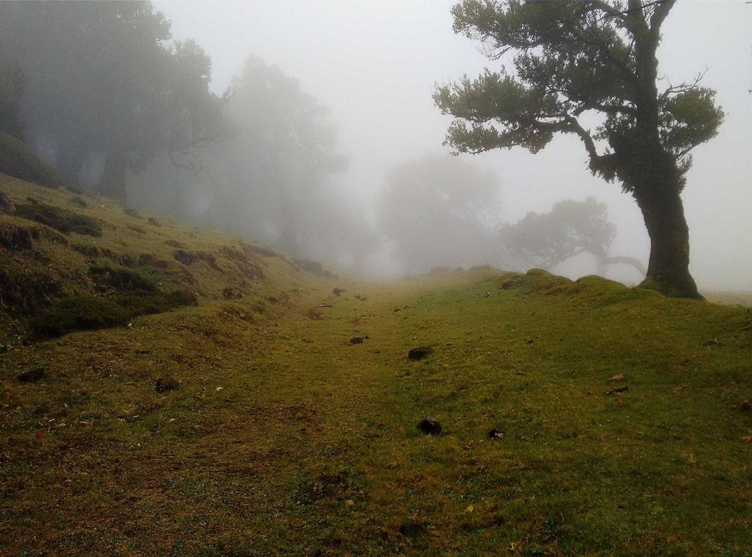 Warning: The Hidden Dangers of Searching for Leaked Files