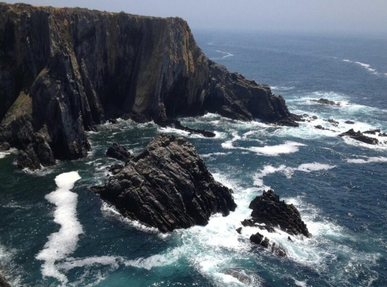 fnf:9jcokqug9pu= bob