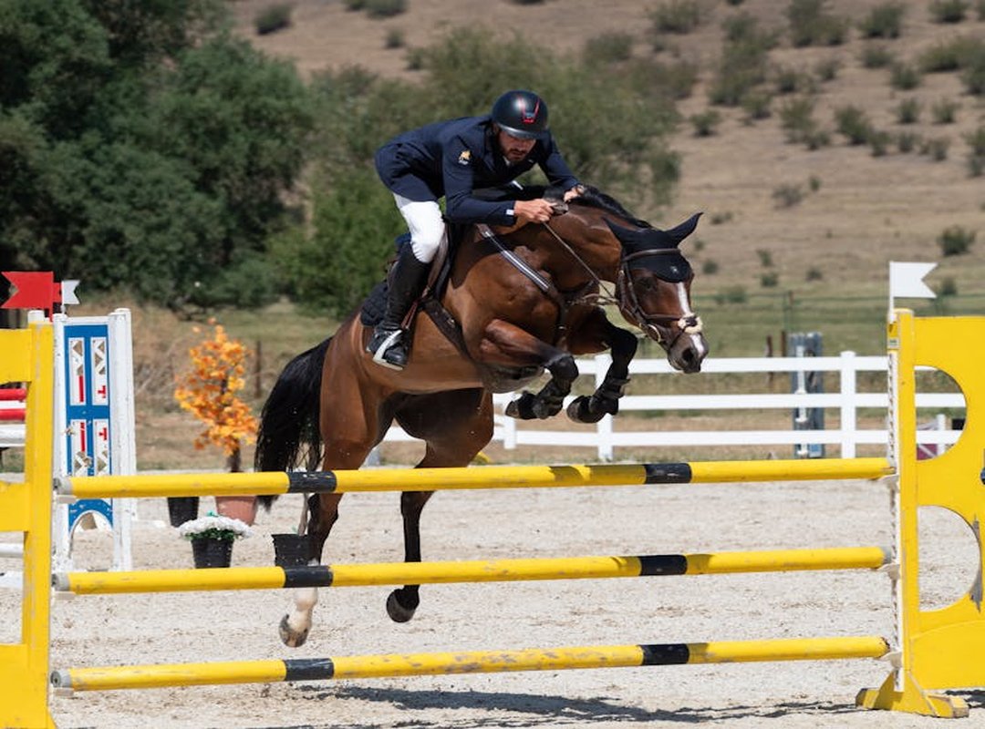 Gaming World Dtrgsgaming