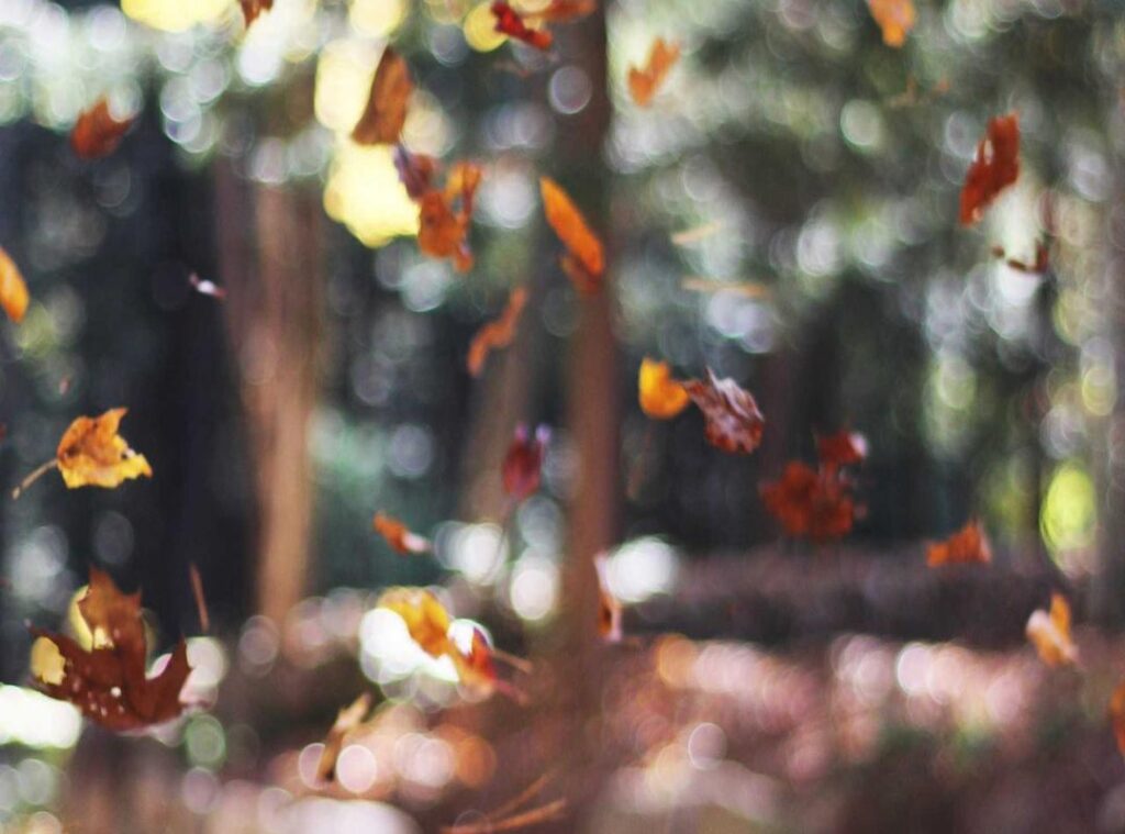 kenny:vzhme39qudc= south park