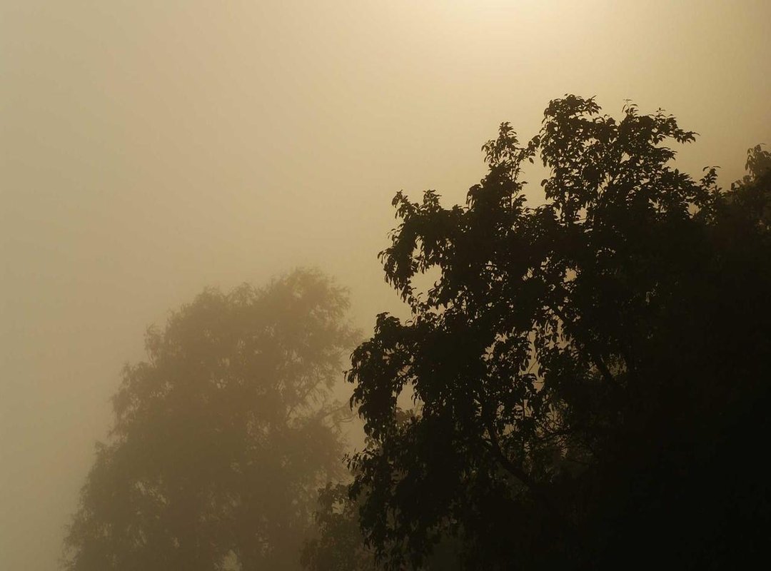 Get Started: Your First Trade in Under 5 Minutes