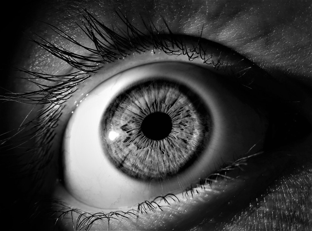 Why Gaming Is Good for Your Brain Pmwgamegeek