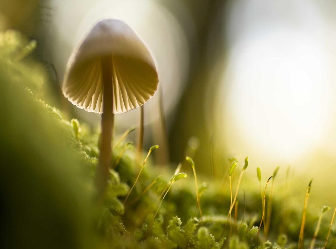 Yeri Mua's Follow-Up: Addressing the Controversy and Its Impact