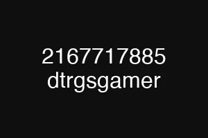 2167717885 dtrgsgamer